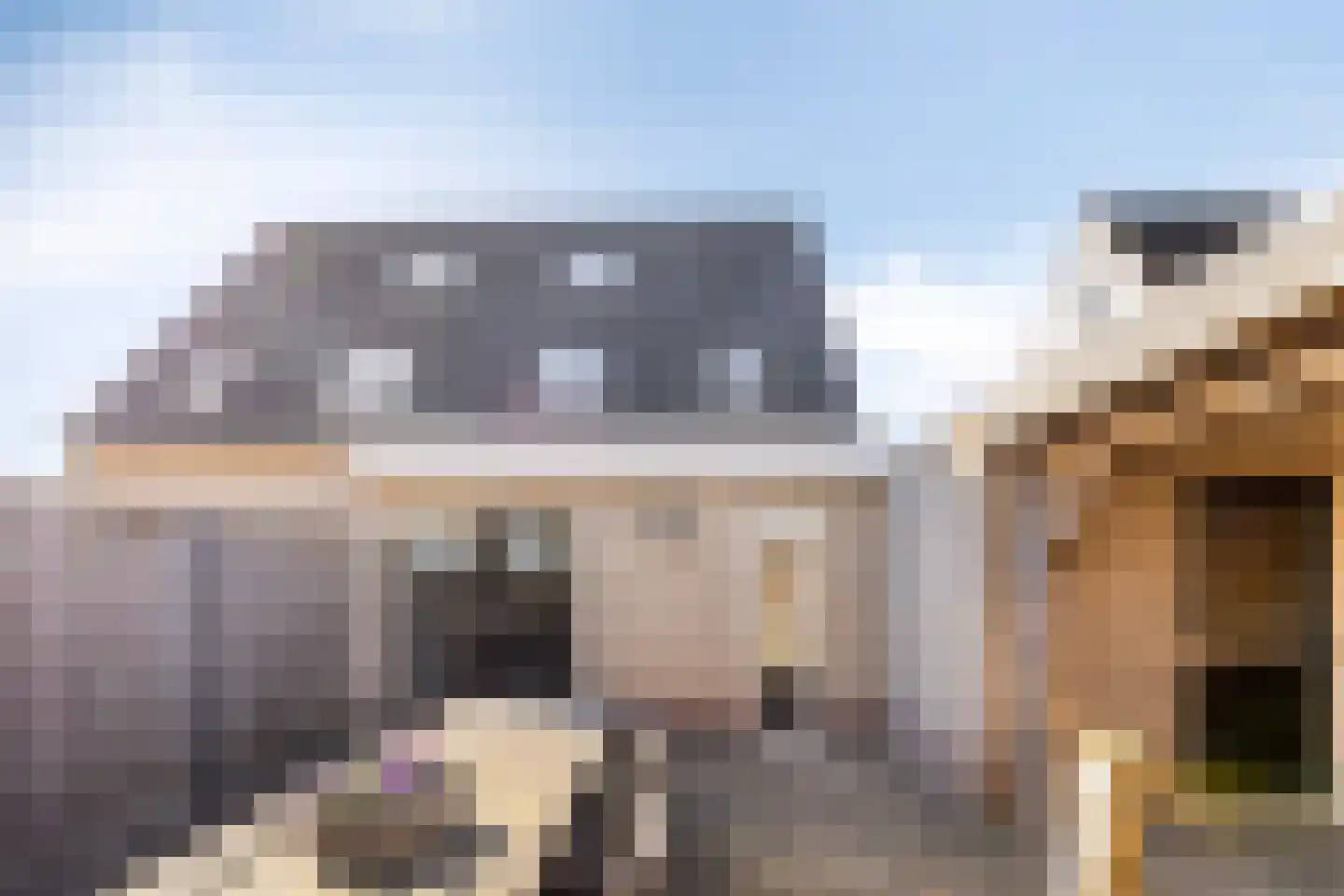 Duizendblad 4 Haaksbergen thumbnail 21