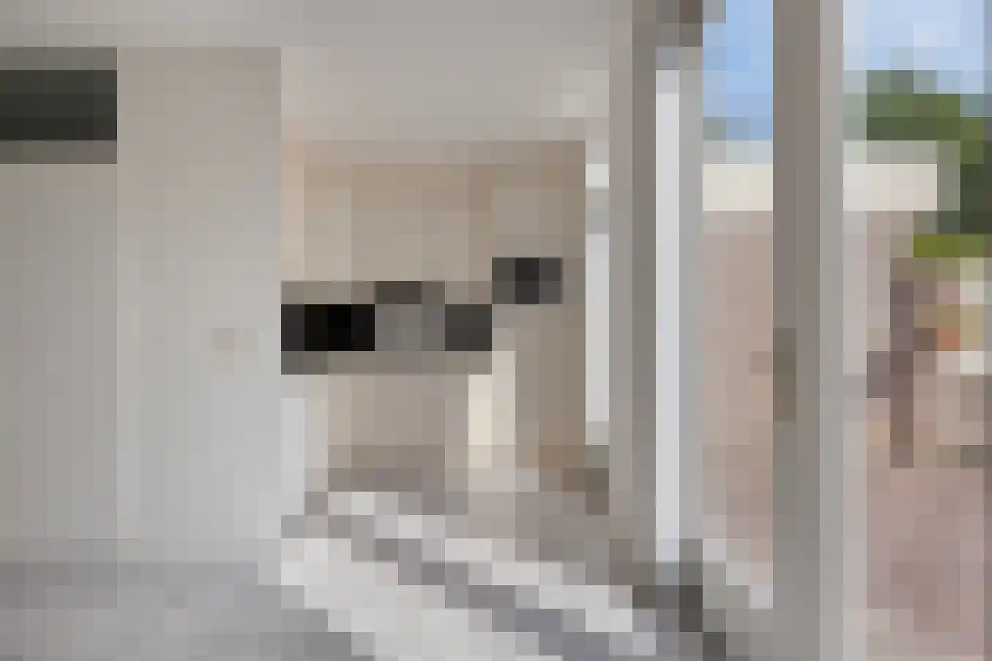 Duizendblad 5 Best thumbnail 13