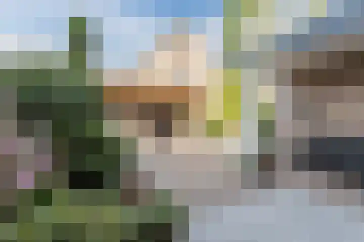 Duizendblad 5 Udenhout thumbnail 32