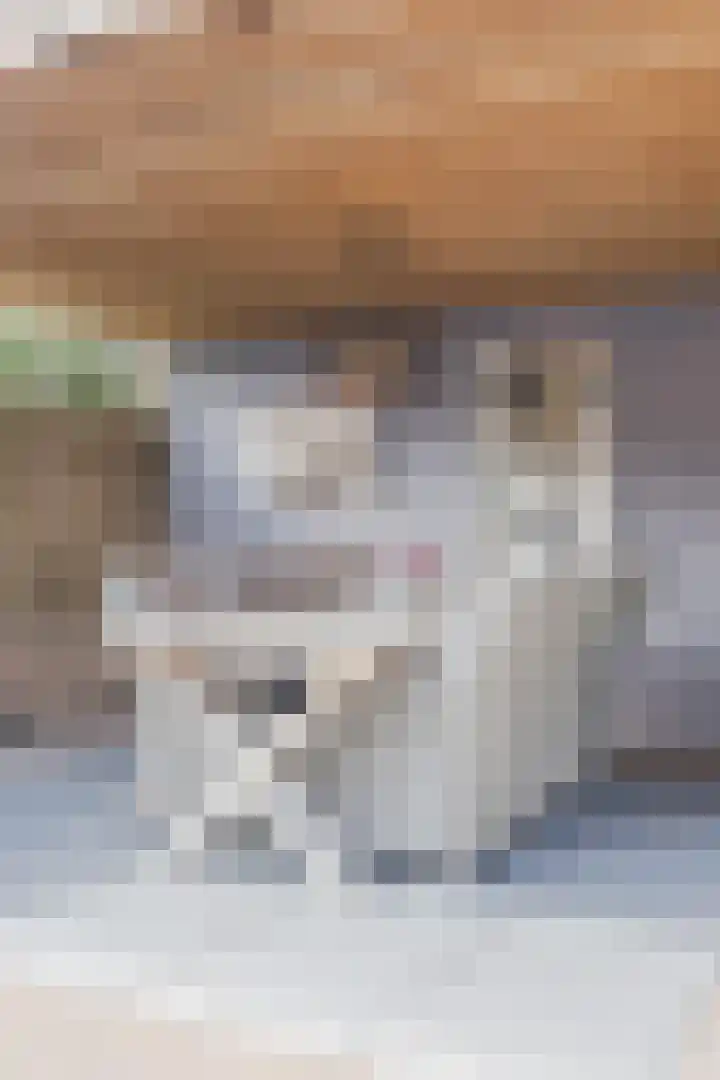 Duizendblad 5 Udenhout thumbnail 33