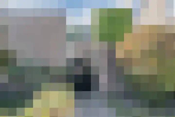 Duizendblad 5 Udenhout thumbnail 35