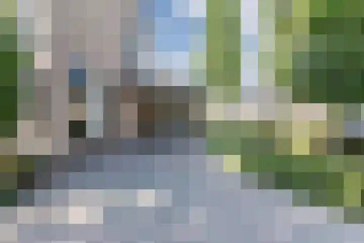 Duizendblad 5 Udenhout thumbnail 5