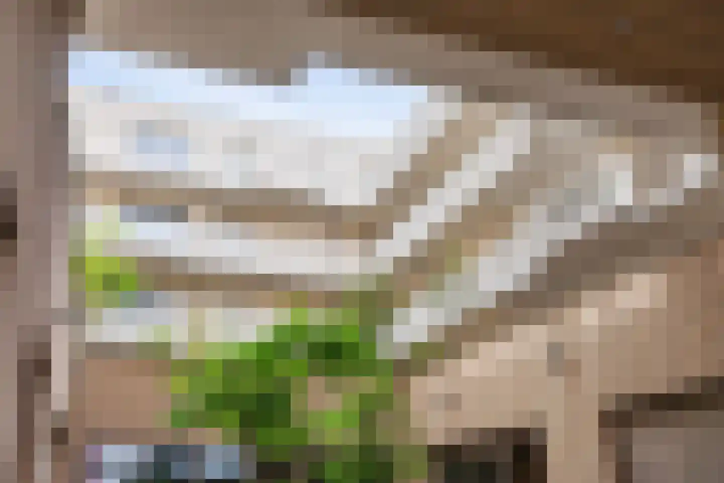 Duizendblad 58 Breda thumbnail 6