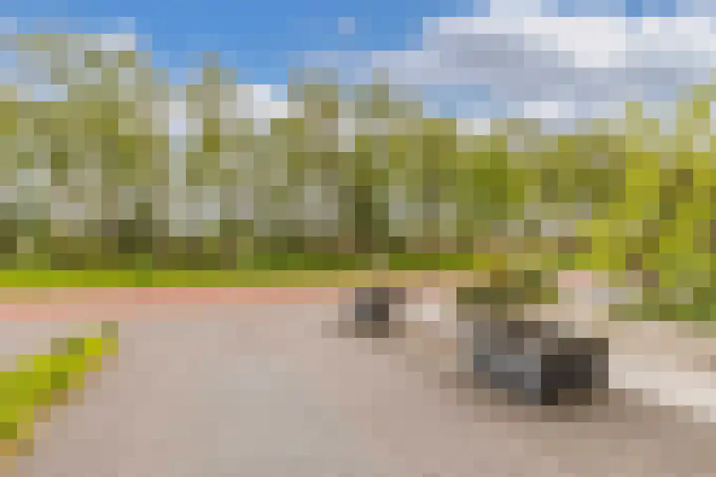 Duizendblad 6 Drachten thumbnail 4