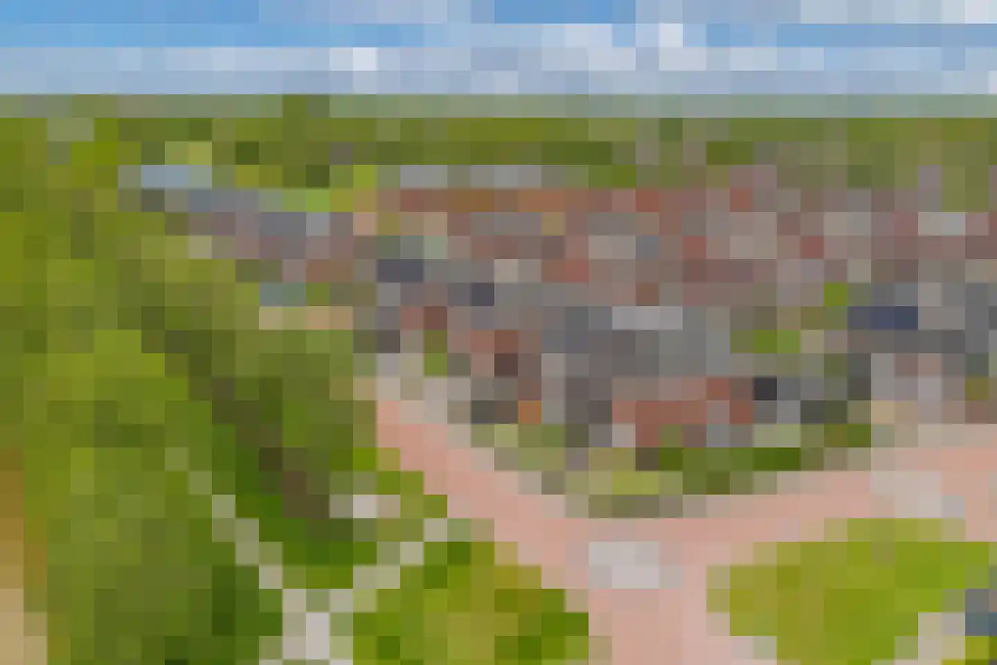 Duizendblad 6 Drachten thumbnail 52
