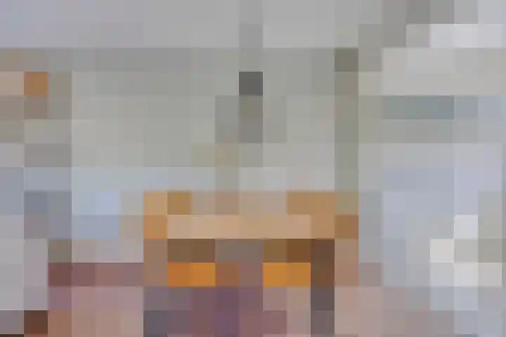 Duizendblad 6 Haaksbergen thumbnail 10