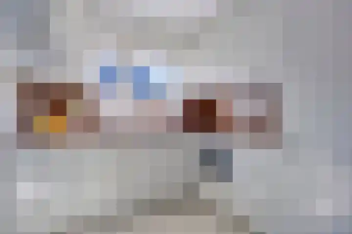 Duizendblad 6 Haaksbergen thumbnail 16