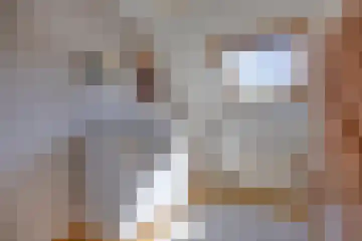 Duizendblad 6 Haaksbergen thumbnail 22