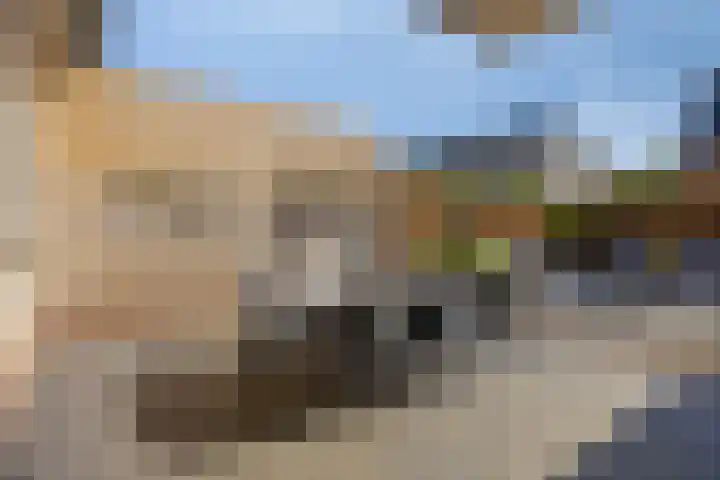 Duizendblad 6 Haaksbergen thumbnail 29