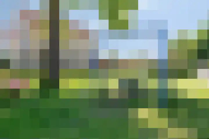Duizendblad 6 Haaksbergen thumbnail 35