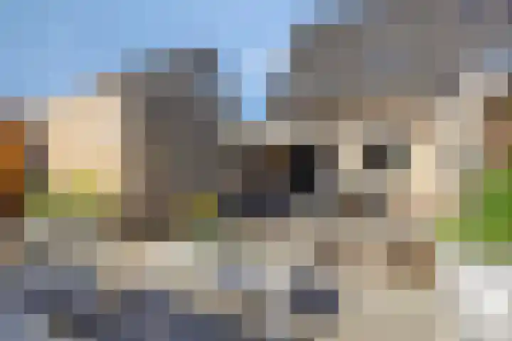 Duizendblad 6 Haaksbergen thumbnail 4