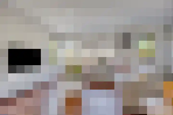 Duizendblad 6 Haaksbergen thumbnail 6