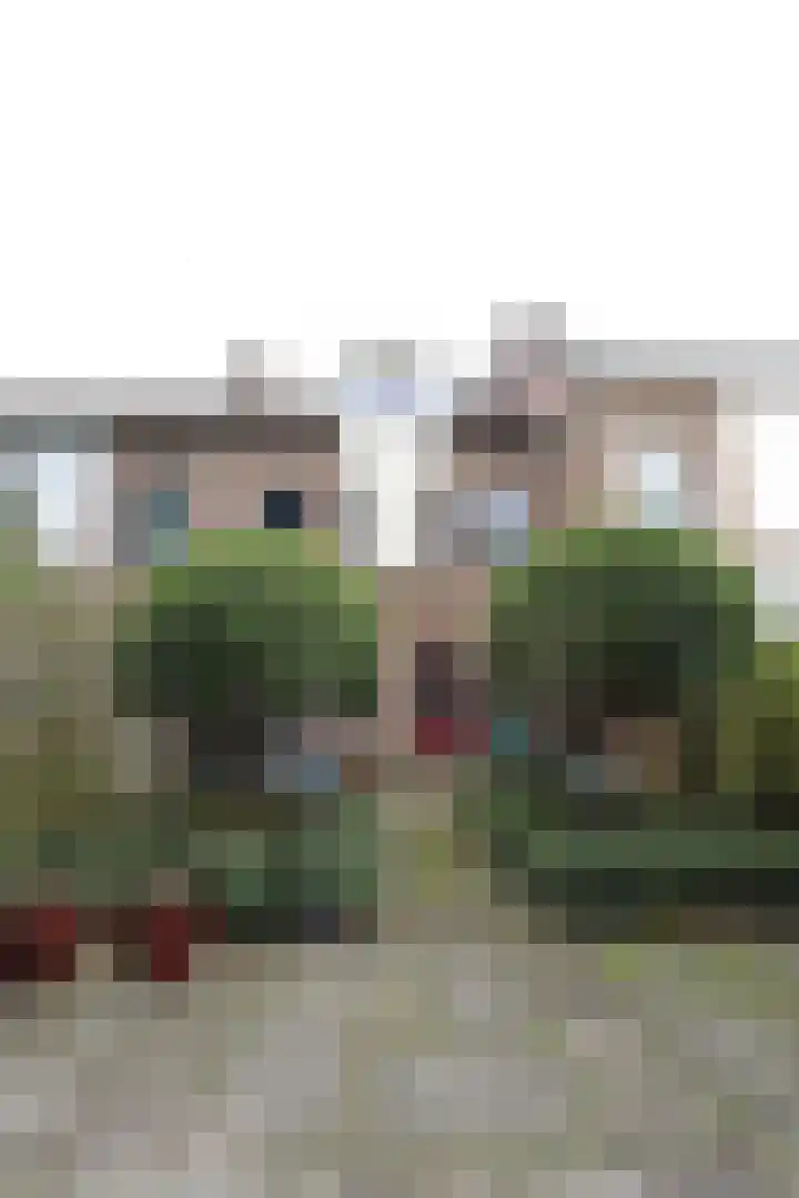 Duizendblad 62 Sneek thumbnail 10