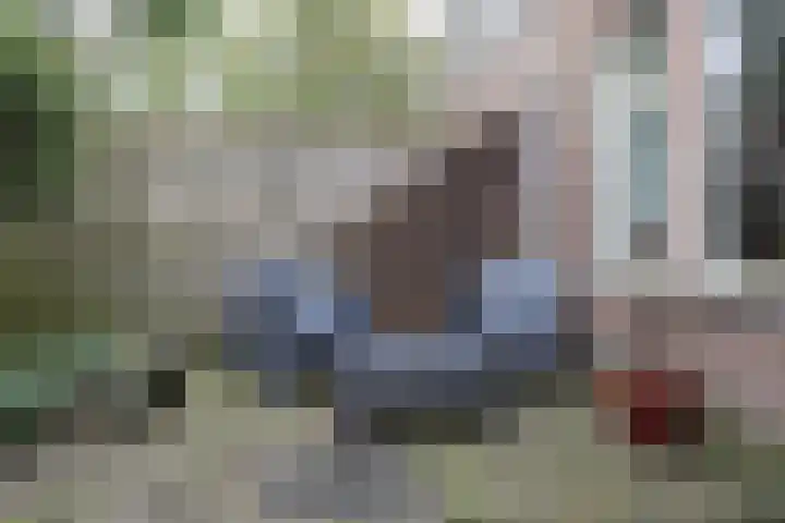 Duizendblad 62 Sneek thumbnail 11