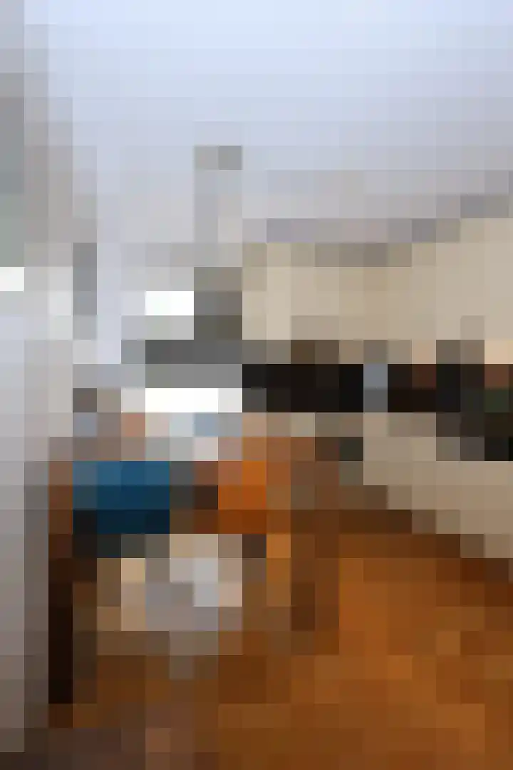 Duizendblad 62 Sneek thumbnail 15