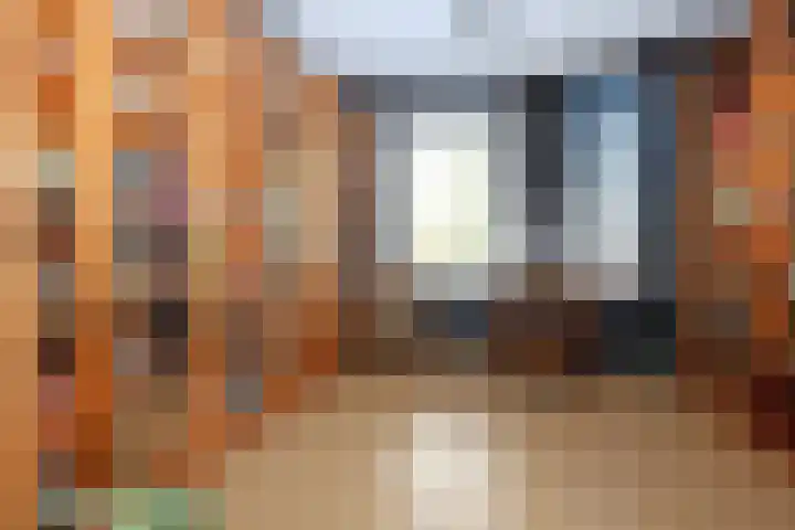 Duizendblad 62 Sneek thumbnail 22