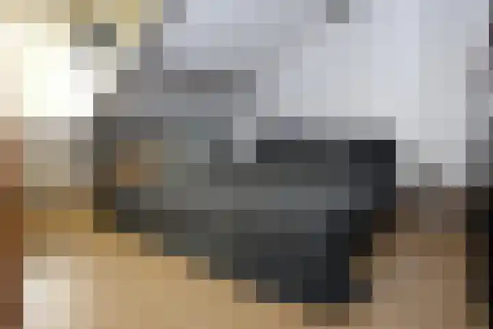 Duizendblad 62 Sneek thumbnail 29
