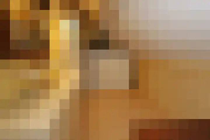 Duizendblad 62 Sneek thumbnail 31