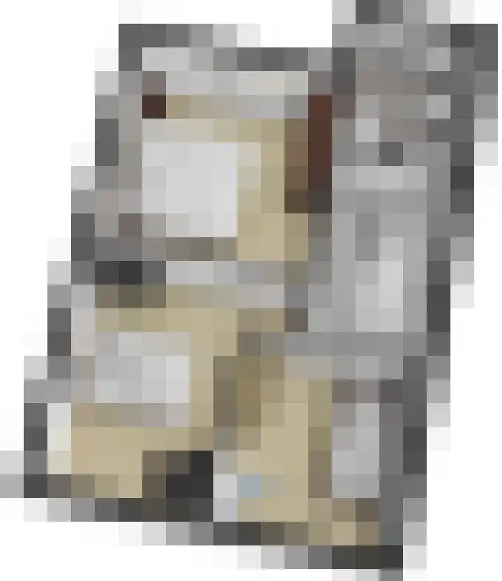 Duizendblad 62 Sneek thumbnail 39