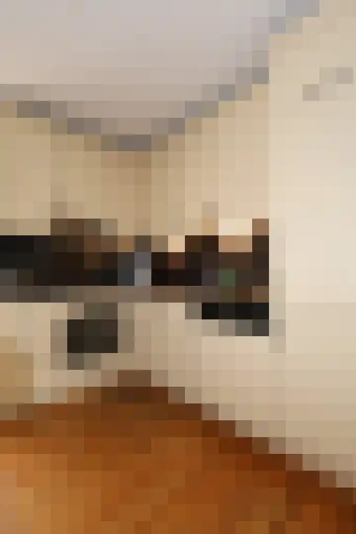 Duizendblad 62 Sneek thumbnail 4