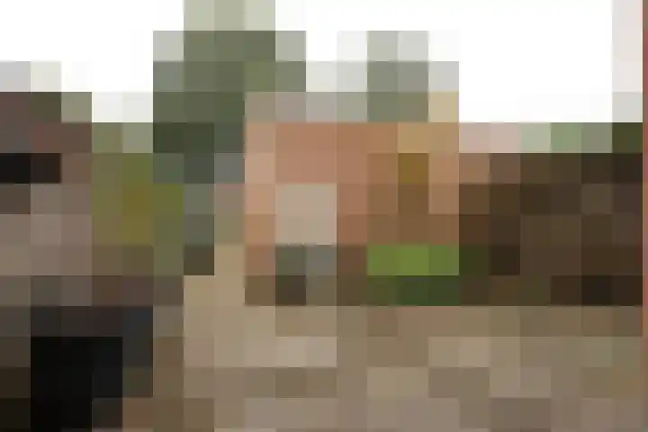 Duizendblad 62 Sneek thumbnail 6