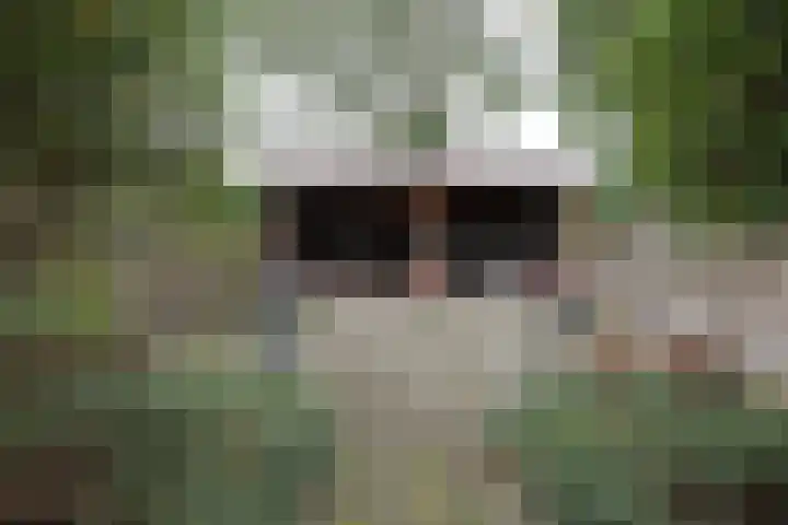 Duizendblad 62 Sneek thumbnail 7