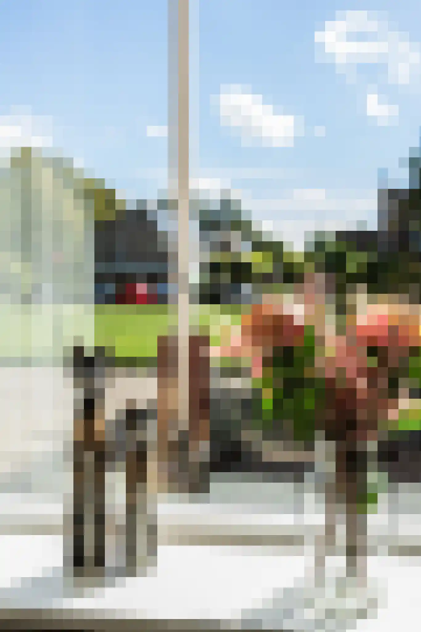 Duizendblad 7 Werkendam thumbnail 16