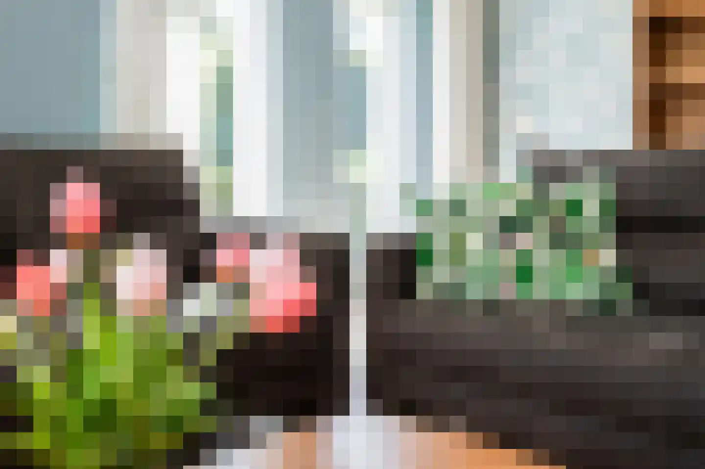 Duizendblad 7 Werkendam thumbnail 20
