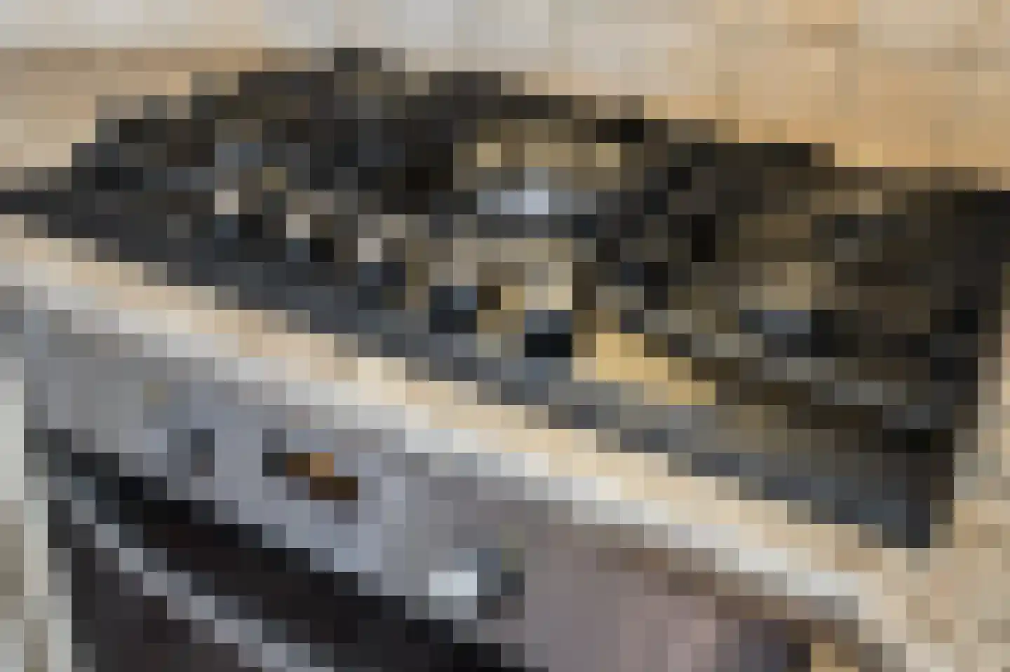 Duizendblad 7 Werkendam thumbnail 29