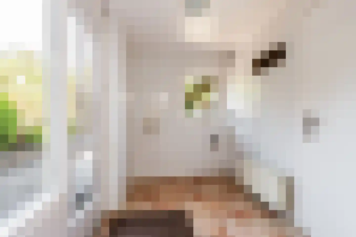 Duizendblad 7 Werkendam thumbnail 30