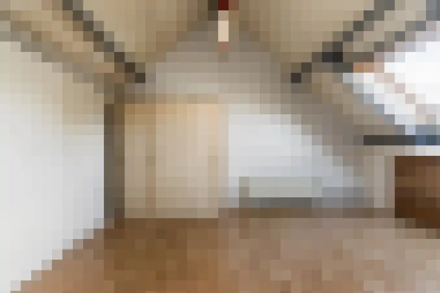 Duizendblad 7 Werkendam thumbnail 52