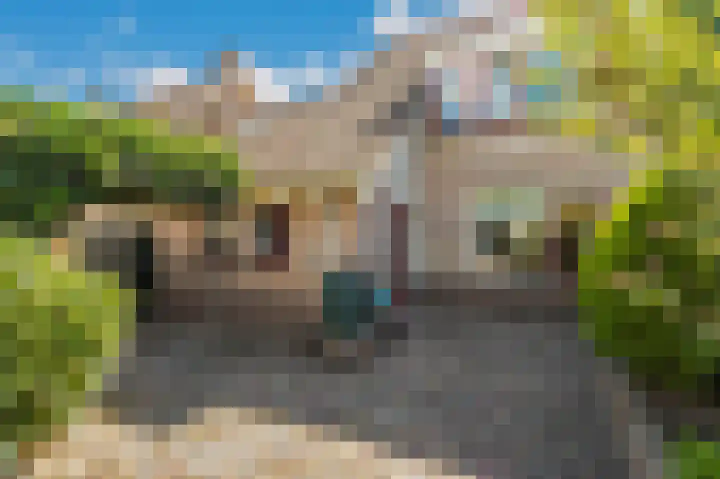 Duizendblad 7 Werkendam thumbnail 57