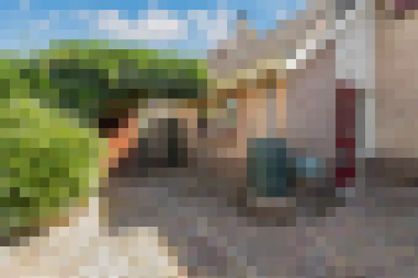 Duizendblad 7 Werkendam thumbnail 58