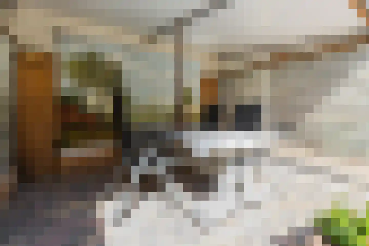 Duizendblad 7 Werkendam thumbnail 62
