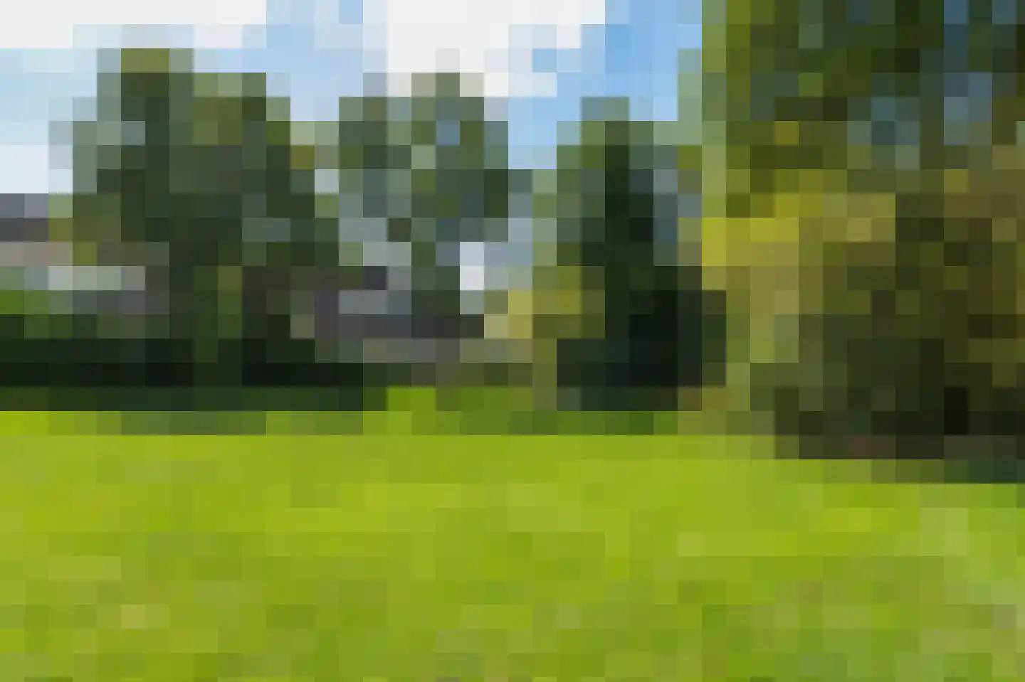 Duizendblad 7 Werkendam thumbnail 68