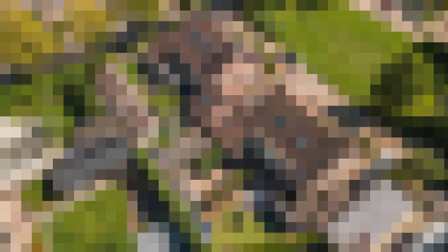 Duizendblad 7 Werkendam thumbnail 71