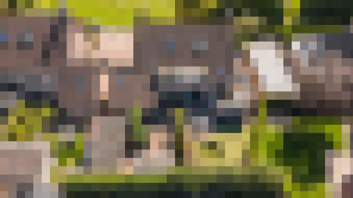 Duizendblad 7 Werkendam thumbnail 73