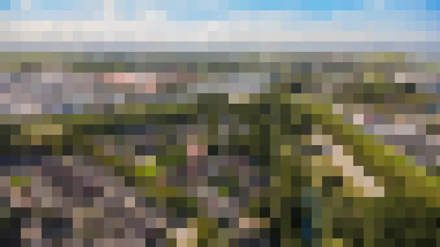 Duizendblad 7 Werkendam thumbnail 75