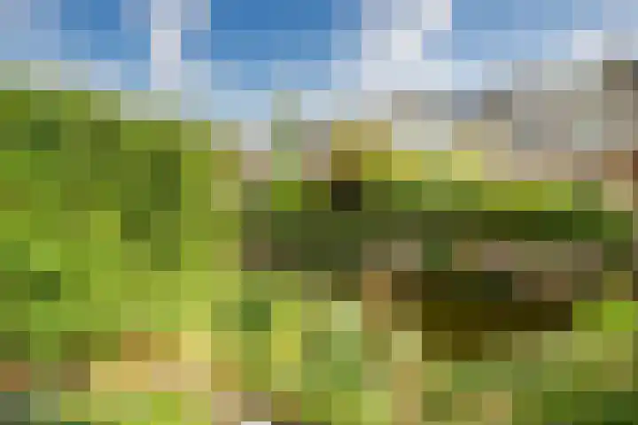 Duizendbladhof 1 Zoeterwoude thumbnail 12