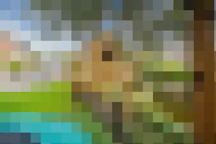 Duizendbladhof 1 Zoeterwoude thumbnail 13