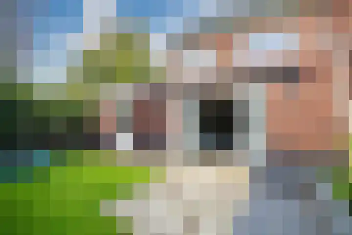 Duizendbladhof 1 Zoeterwoude thumbnail 15