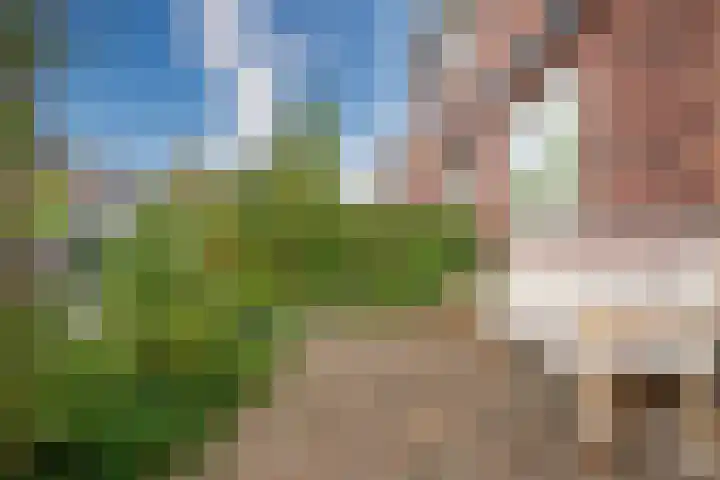Duizendbladhof 1 Zoeterwoude thumbnail 33
