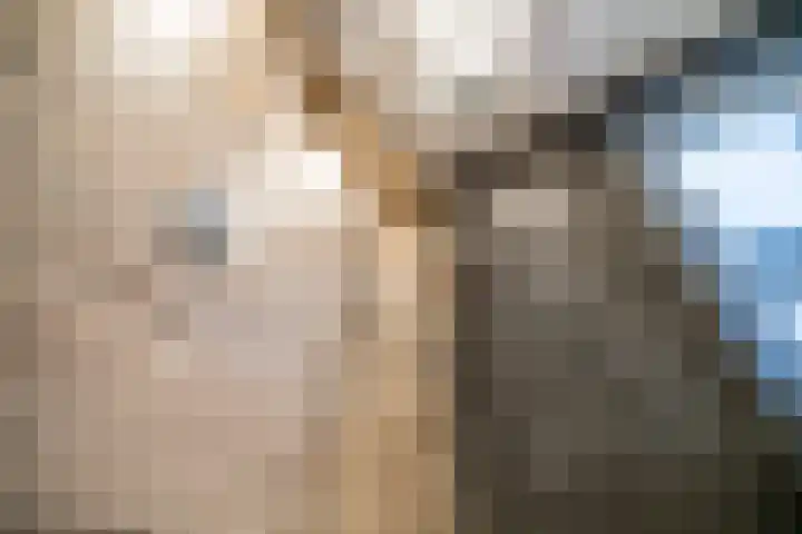 Duizendbladhof 1 Zoeterwoude thumbnail 38
