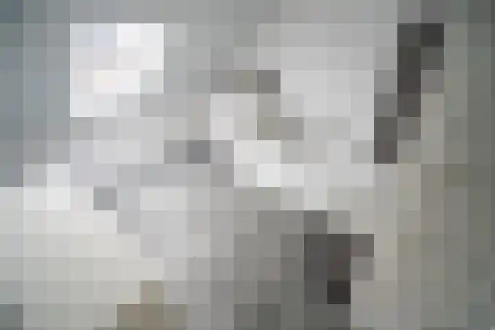 Duizendbladhof 1 Zoeterwoude thumbnail 52