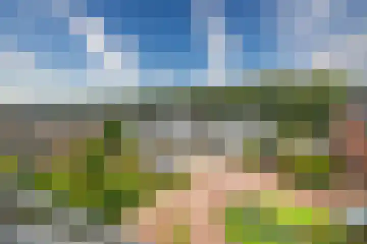 Duizendbladhof 1 Zoeterwoude thumbnail 54