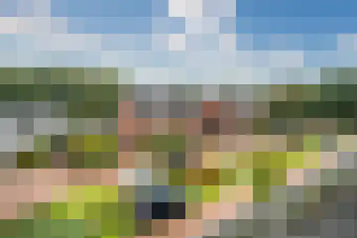 Duizendbladhof 1 Zoeterwoude thumbnail 55