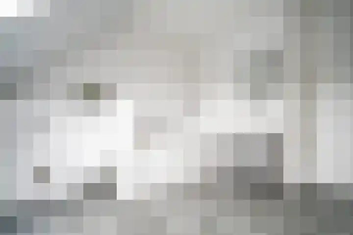 Duizendbladhof 1 Zoeterwoude thumbnail 57