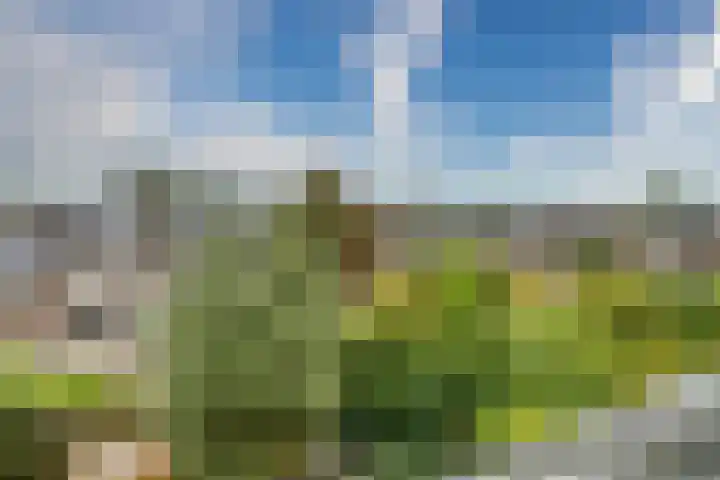 Duizendbladhof 1 Zoeterwoude thumbnail 60