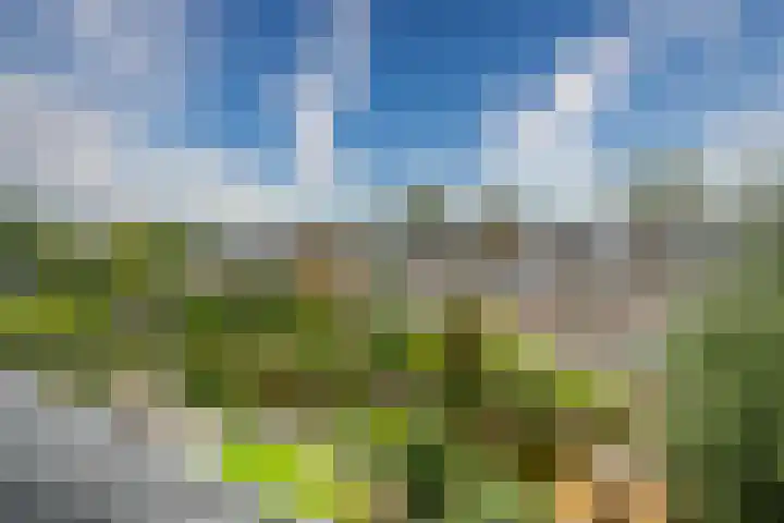 Duizendbladhof 1 Zoeterwoude thumbnail 61
