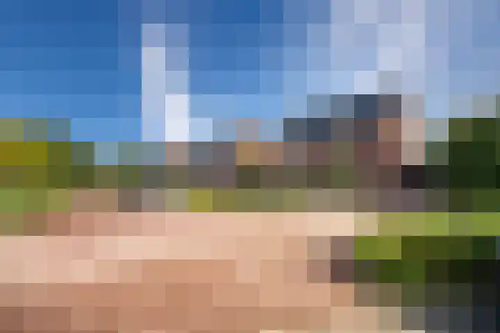 Duizendbladhof 1 Zoeterwoude thumbnail 66
